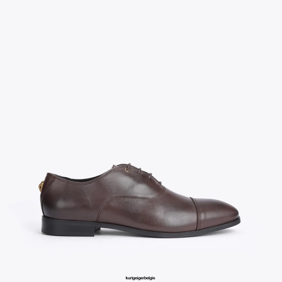 Kurt Geiger Londen Harris Oxford Heren | schoenen bruin D0N0ZV647