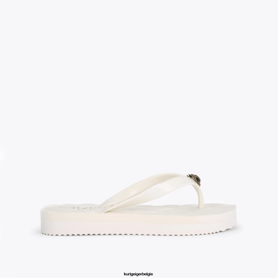 Kurt Geiger Londen kensington q teenslipper vrouwen | schoenen bot D0N0ZV450